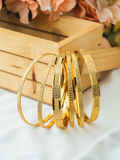 Saloni Bangle ( Set of 6 )