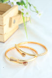 Jahnavi Bangle.  ( Set of 2)