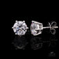 Dazzling 2 Carat Solitaire Stud Earrings, 925 Silver, Premium Screw Backs